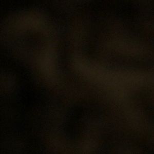 Meet your Posher, Nicholas